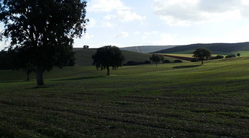 456_fincas-en-venta-08