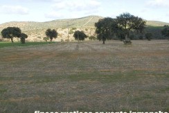 456_fincas-en-venta-09