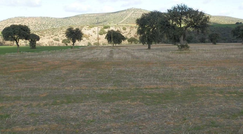 456_fincas-en-venta-09