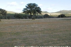 456_fincas-en-venta-10