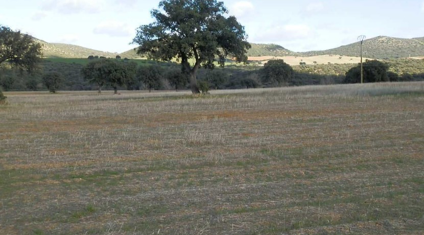 456_fincas-en-venta-10