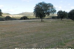 456_fincas-en-venta-11