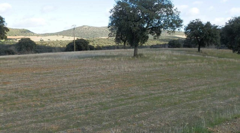 456_fincas-en-venta-11