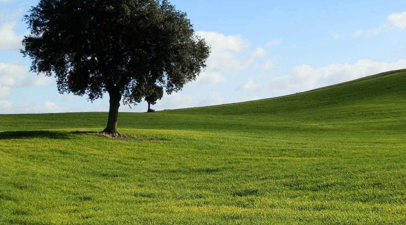 456_fincas-en-venta-12