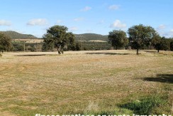 456_fincas-en-venta-14