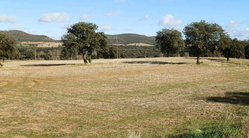 456_fincas-en-venta-14