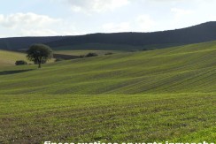 456_fincas-en-venta-15