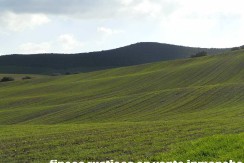 456_fincas-en-venta-16
