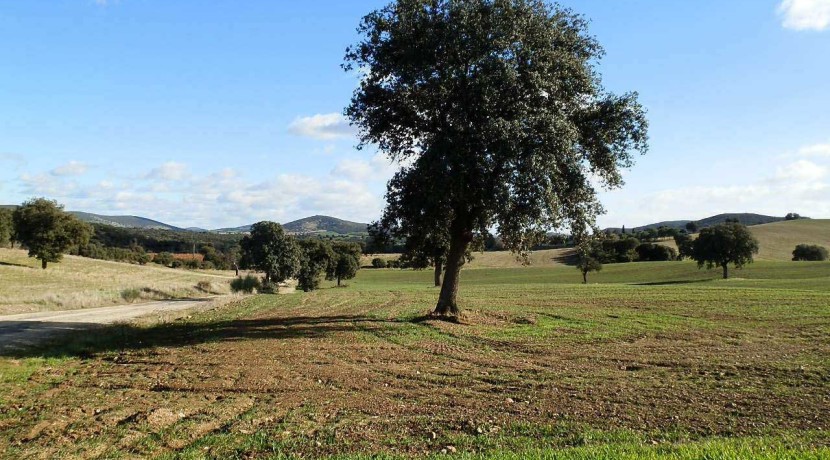 456_fincas-en-venta-17