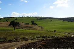 456_fincas-en-venta-20