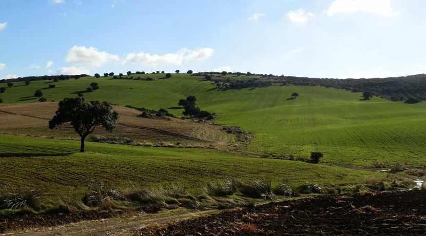 456_fincas-en-venta-20