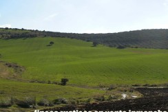 456_fincas-en-venta-21