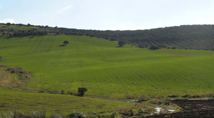 456_fincas-en-venta-21