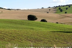 456_fincas-en-venta-23