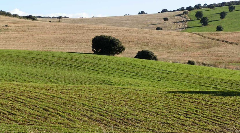 456_fincas-en-venta-23