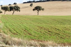 456_fincas-en-venta-25
