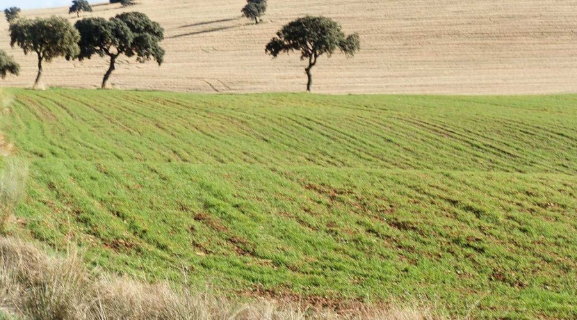 456_fincas-en-venta-25