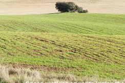 456_fincas-en-venta-26