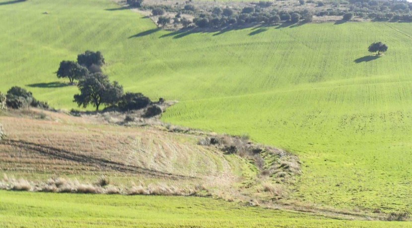 456_fincas-en-venta-28
