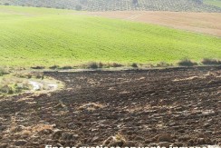 456_fincas-en-venta-29