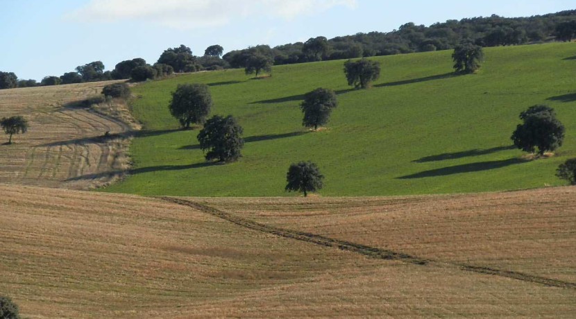 456_fincas-en-venta-30