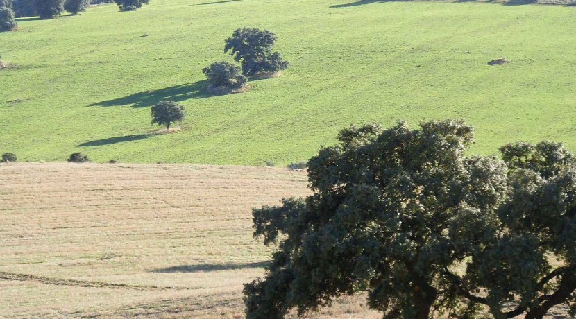 456_fincas-en-venta-31
