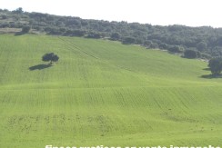 456_fincas-en-venta-32
