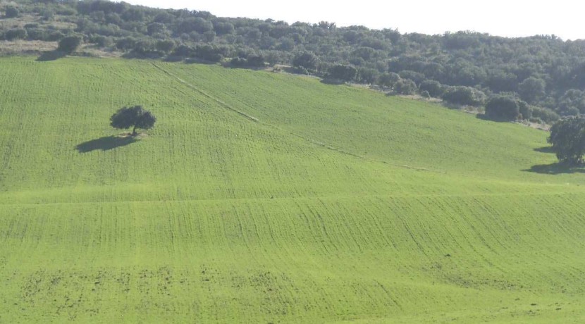 456_fincas-en-venta-32