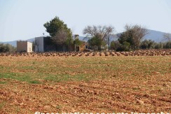 462_fincas-en-venta-08