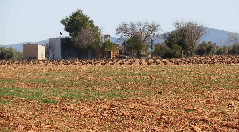 462_fincas-en-venta-08