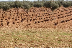 462_fincas-en-venta-14