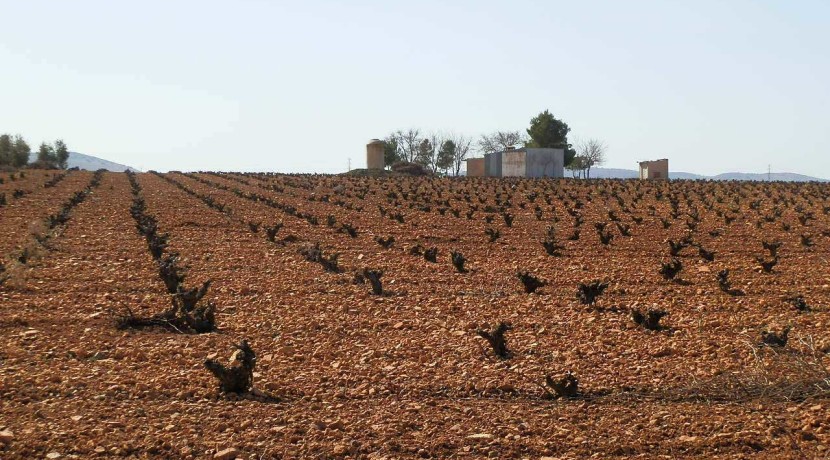 462_fincas-en-venta-16