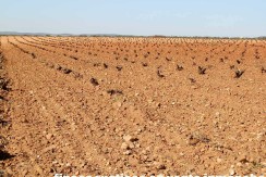 462_fincas-en-venta-29