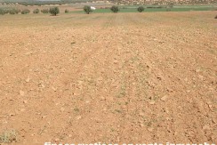 462_fincas-en-venta-37
