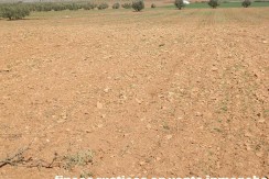 462_fincas-en-venta-38