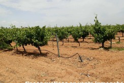 463_fincas-en-venta-011