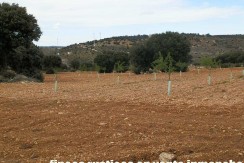 470_fincas-en-venta-048