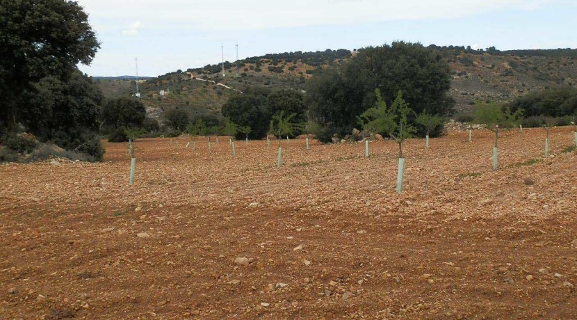 470_fincas-en-venta-048