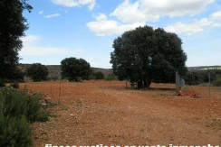 470_fincas-en-venta-051
