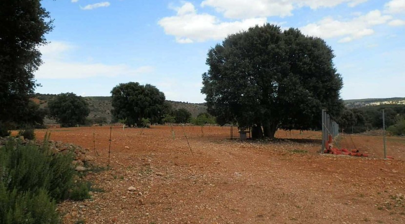 470_fincas-en-venta-051