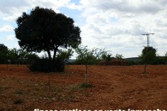 470_fincas-en-venta-053