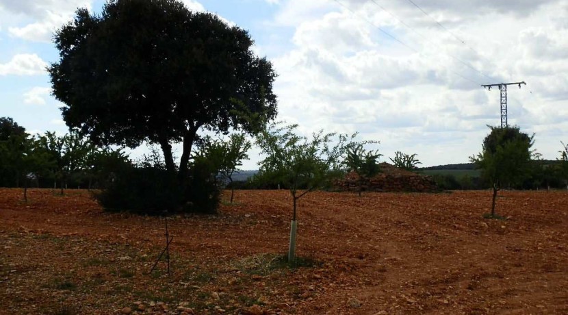 470_fincas-en-venta-053