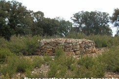 470_fincas-en-venta-055