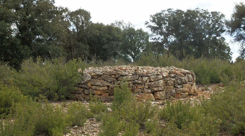 470_fincas-en-venta-055