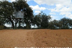 470_fincas-en-venta-062