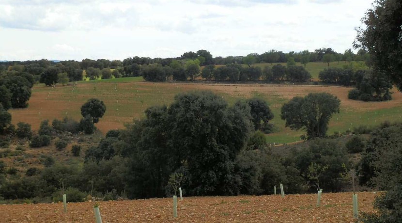 470_fincas-en-venta-064