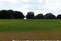 470_fincas-en-venta-066