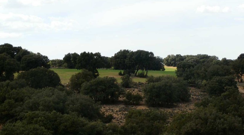 470_fincas-en-venta-076