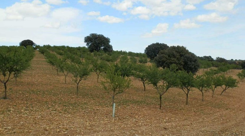 470_fincas-en-venta-077
