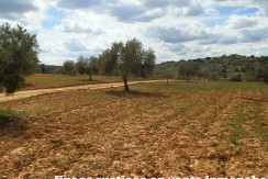 470_fincas-en-venta-082